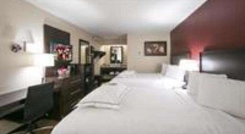 เรด รูฟ พลัส+ ยูนิเวอร์ซิตี้ แอท บัฟฟาโล - แอเมิสต์ Hotel แอมเฮิร์ส ภายนอก รูปภาพ